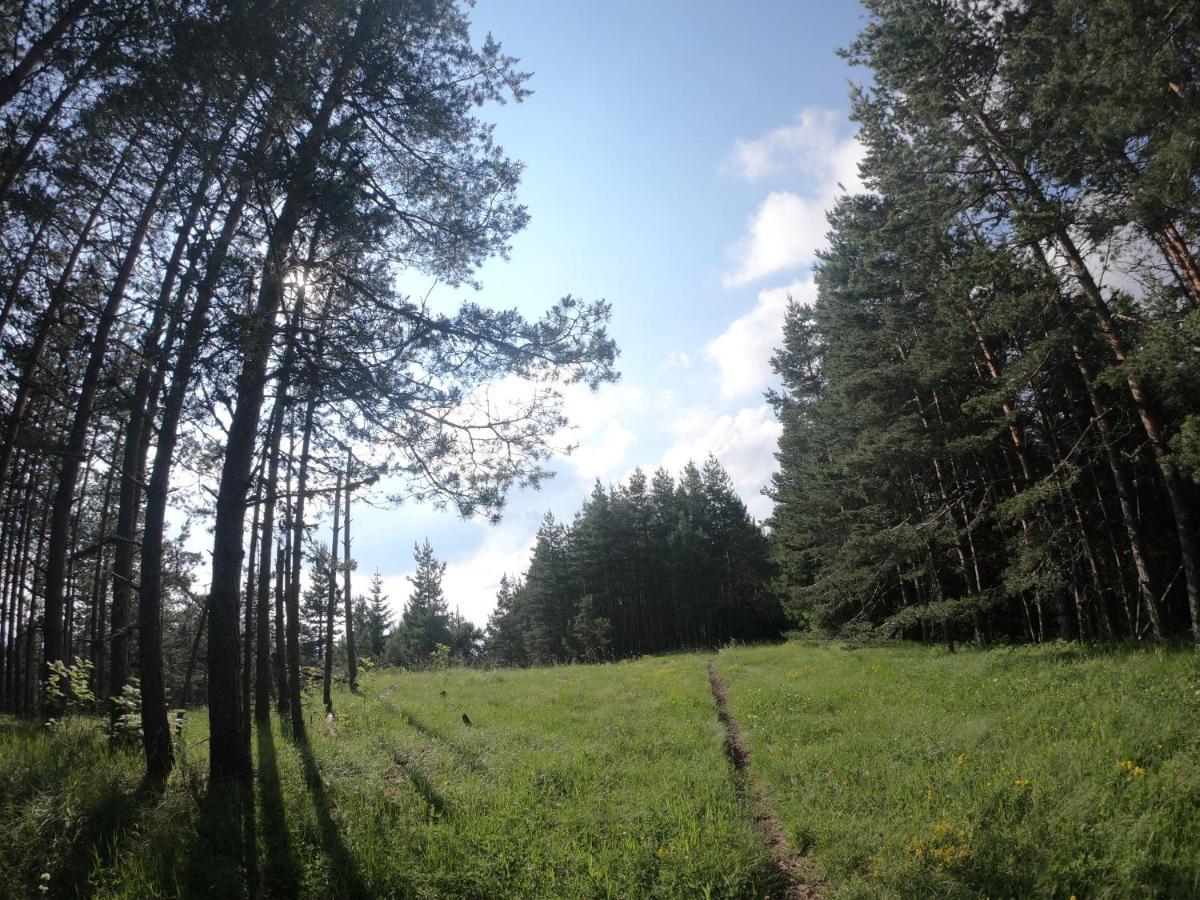 Hotel Carobni Breg Mokra Gora Zewnętrze zdjęcie