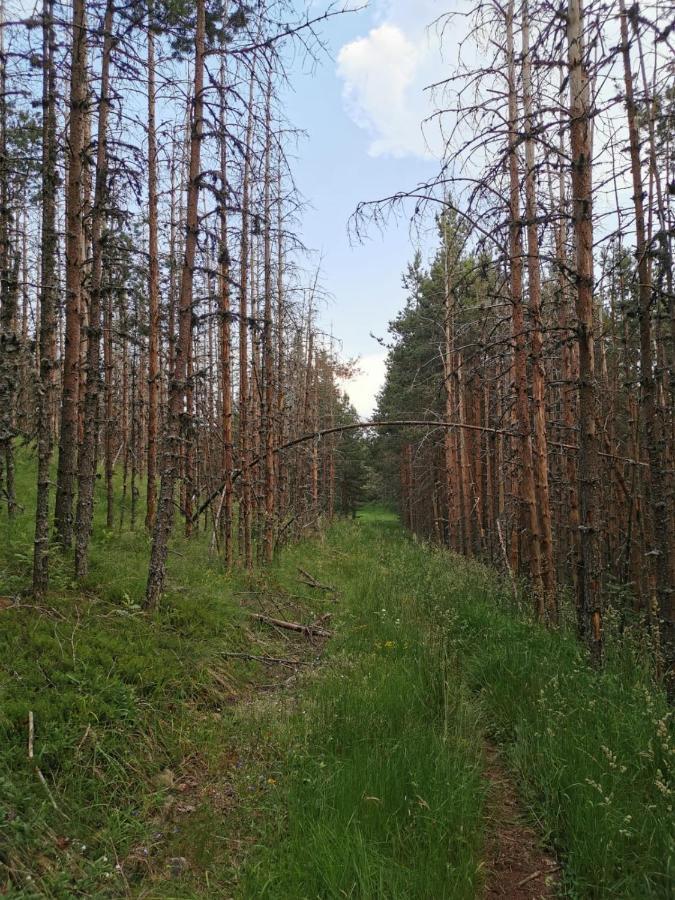 Hotel Carobni Breg Mokra Gora Zewnętrze zdjęcie